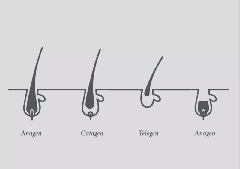 The Scientific Reality