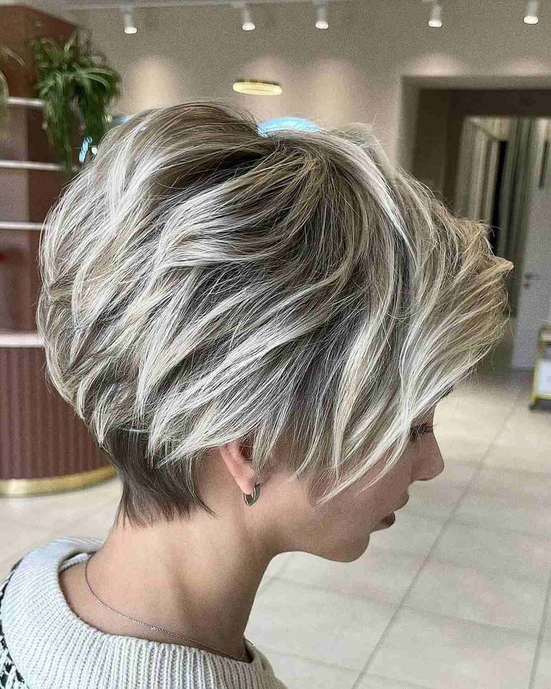Pixie-Bob Hybrid with Silver Highlights