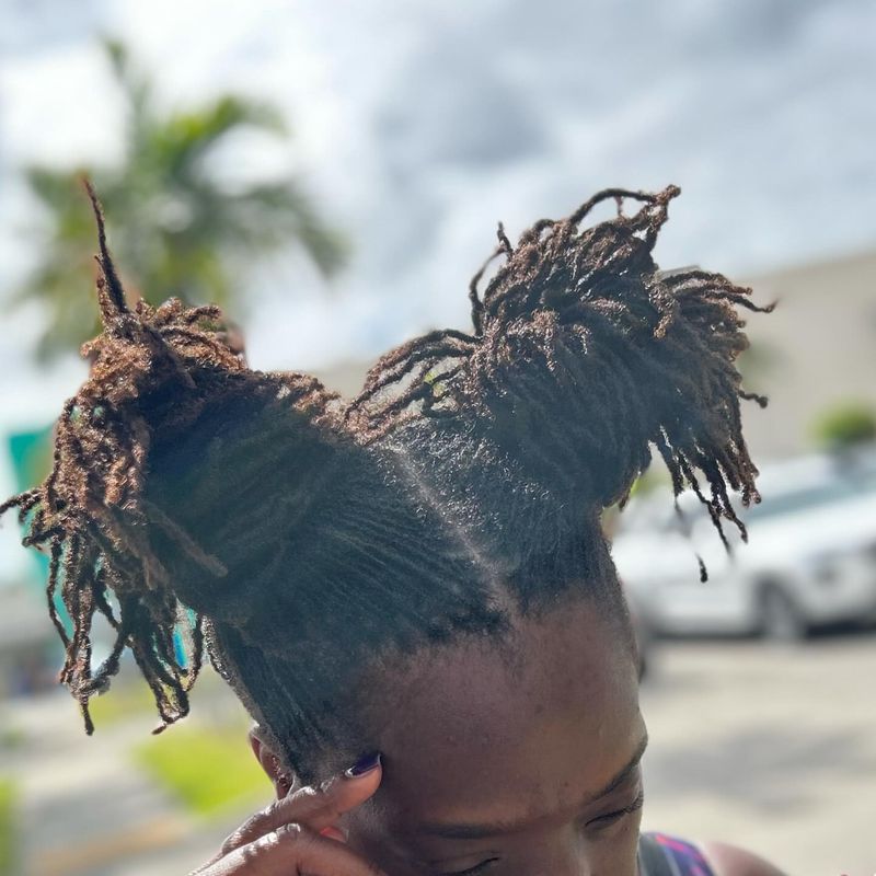 Braided Space Buns