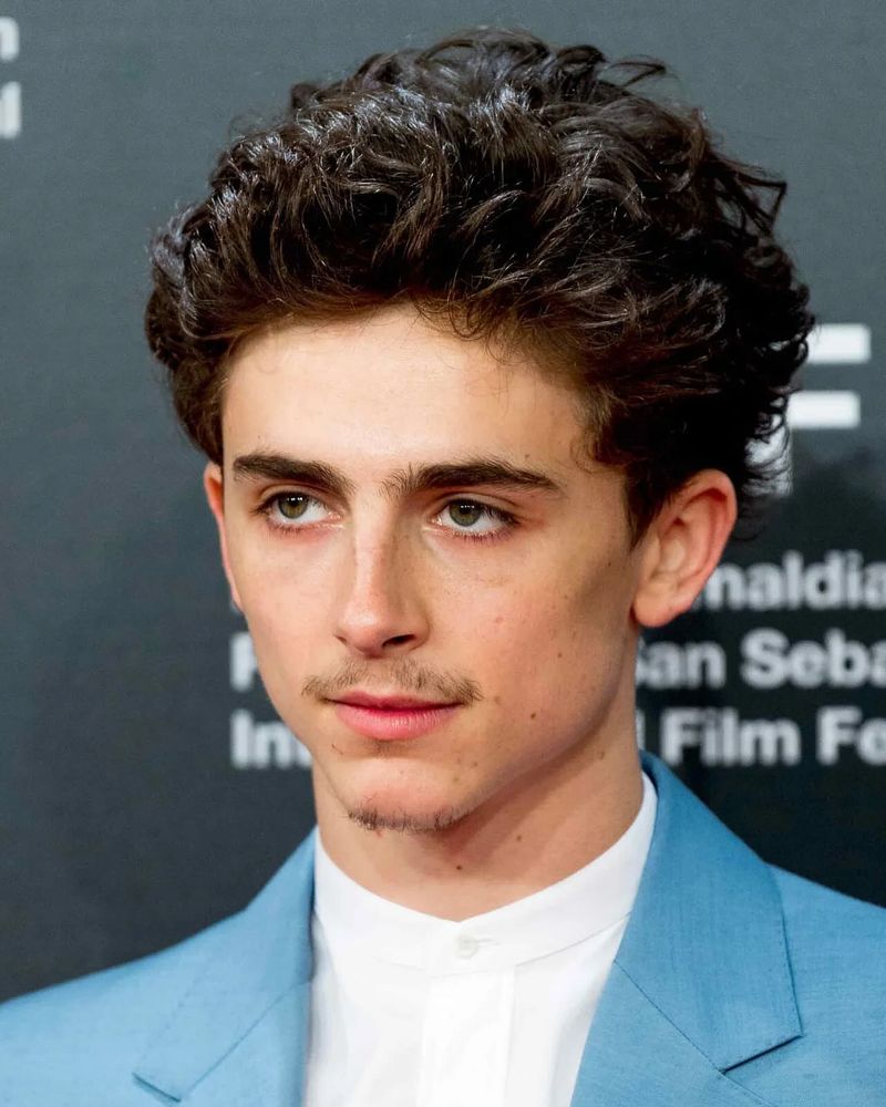 Timothée Chalamet's Effortless Wavy Crop