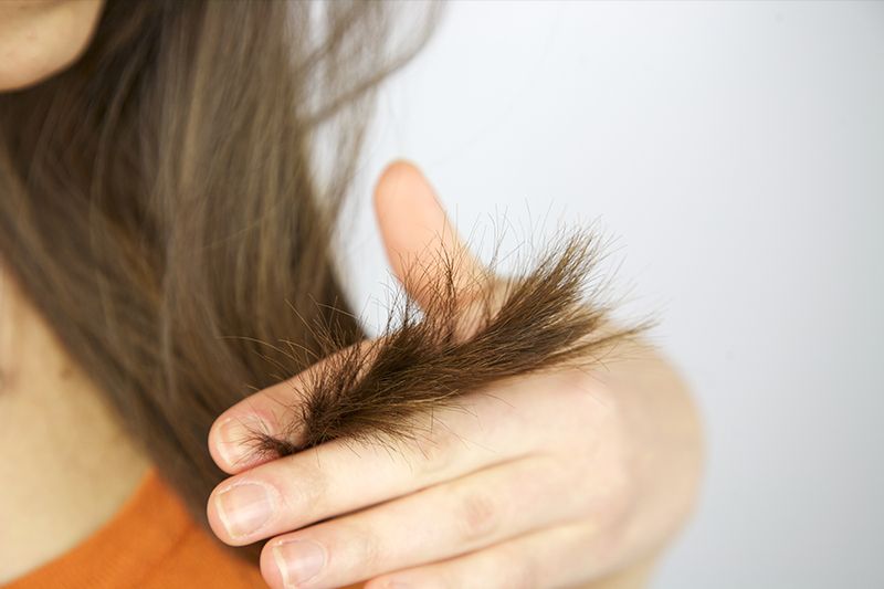 Split End Survey