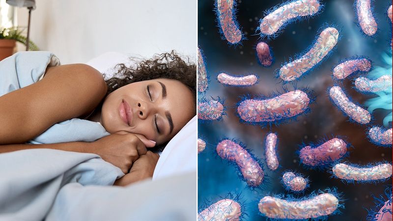 Bacteria Multiplication Accelerates